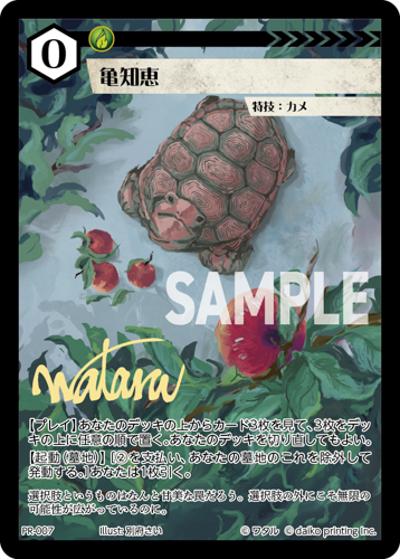 亀知恵（PR / クラウドファンディング返礼品PRカードパック）