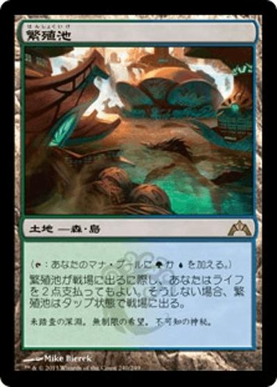 繁殖池/Breeding Pool（GTC 240/249 レア / ギルド門侵犯）