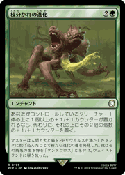 枝分かれの進化/Branching Evolution