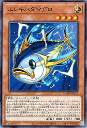 エレキハダマグロ