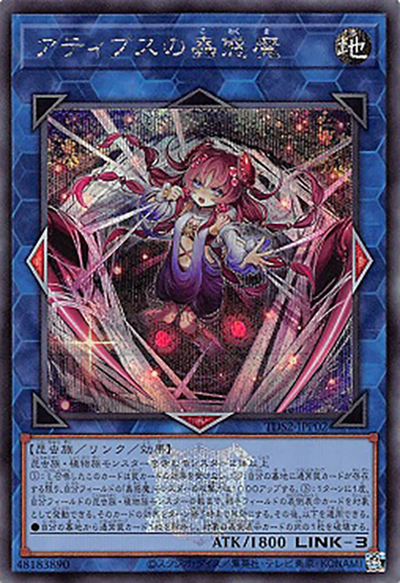 アティプスの蟲惑魔（TDS2-JPP TDS2-JPP02 シークレット / STRUCTURE DECK 蟲惑魔の森 – 決闘者伝説 QUARTER CENTURY EDITION – 狂宴への誘いパック / 第12期）