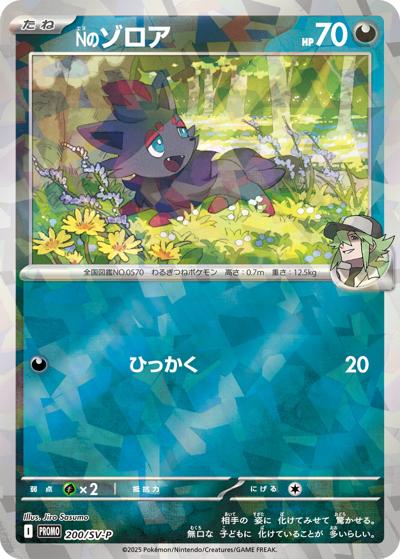 Nのゾロア（SV-P 200/SV-P PROMO / コレクションファイルセット N / スカーレット＆バイオレット）