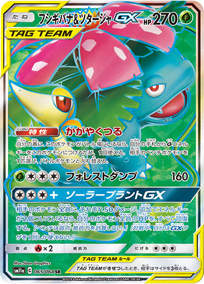 フシギバナ&ツタージャGX（sm11a 065/064 SR / リミックスバウト / サン＆ムーン）