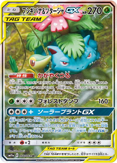 フシギバナ&ツタージャGX（sm11a 066/064 SR / リミックスバウト / サン＆ムーン）
